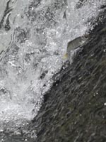 �i����k�シ�鋛