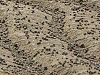 ���ʂ̃A�[�g