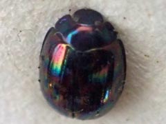 �j�W�S�~���V�_�}�V