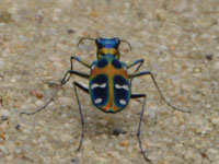 �n���~���E����!(^^)!