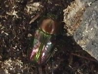 ���X�̖ڊo��!(^^)!