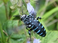 ���������n�i�o�`����!(^^)!