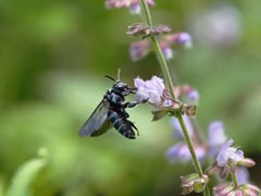 ���������n�i�o�`