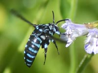 ���������n�i�o�`