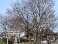 �v����g�_�Ђ̃G�m�L