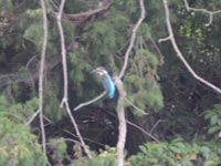 ���܂����I�J���Z�~�I