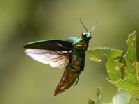 �^�ォ�猩���^�}���V