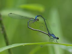 �n�[�g�^����