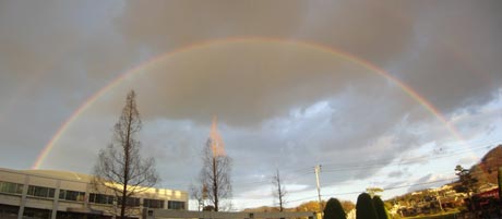 �Q��������������