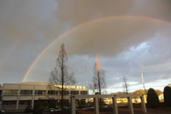 �l���ō��̓�