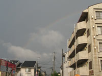 ���R�A�o�X�̎ԑ����猩������