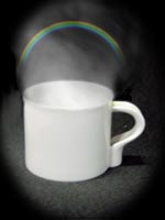 ����J�b�v�̓�(�C���[�W)