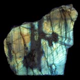 �P�����u���h���C�g