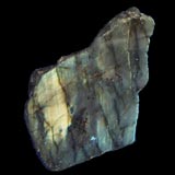 �P���Ă��Ȃ����v���h���C�g