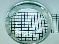 �����Y��̕���