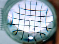 ���ɓ��F���I