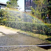 ����J�b�v�̓�(�C���[�W)