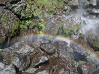 �󒸃���̓�