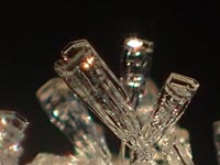 �n�������������̌���