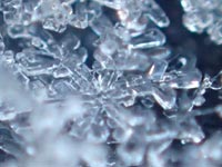 ���ɍ���������̌���