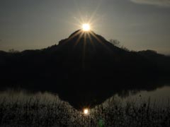 �_�u���_�C�������h���R