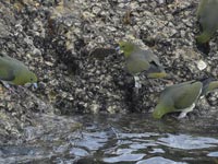 �������ށI