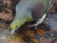 �C��������