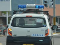 �p�g�̃p�g���[��