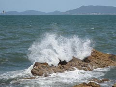 �A�I�o�g���C�������ފ��