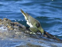 �C��������