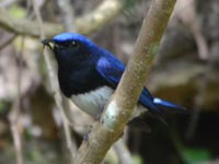 �I�I�����̗Y