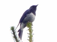 �I�I����