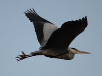 �A�I�T�M�̔���