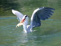 �̂����`!(^^)!