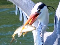 ���Ȃ�ł������`