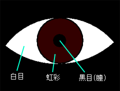 �w�p�I�ɂ�