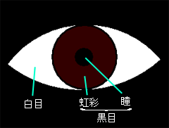 �����̐l������H�I