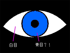 ���m�l�̐���