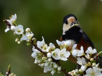 ���}�K��