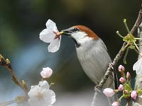 �V����!(^^)!�j���E�i�C�X�Y��