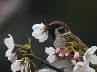 �V����!(^^)!�X�Y��