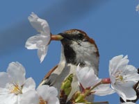 �V����!(^^)!�j���E�i�C�X�Y��