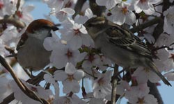 �V����!(^^)!�j���E�i�C�X�Y��