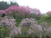 �z�^���ّO�̍�