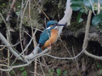 �l���𔭌��I