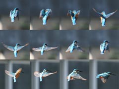 �z�o�����O