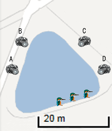 三角池のカワセミマップ