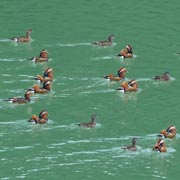 �j���I�V�h��