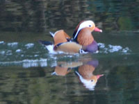 ��g���~���O