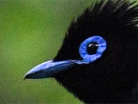 �T���R�E�`���E